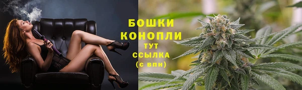 PSILOCYBIN Алзамай