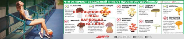 PSILOCYBIN Алзамай