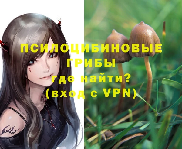 PSILOCYBIN Алзамай