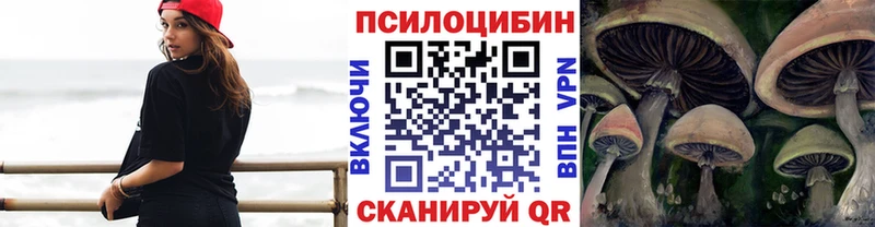 Псилоцибиновые грибы Psilocybine cubensis  Заозёрный 